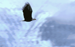 增持、回购！超30家上市公司密集公告